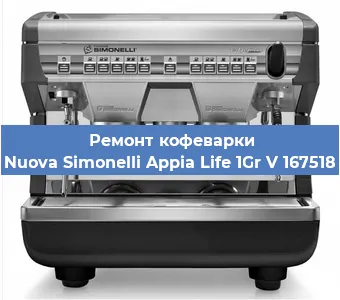 Чистка кофемашины Nuova Simonelli Appia Life 1Gr V 167518 от накипи в Новосибирске